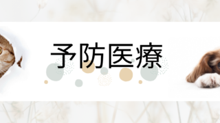 予防診療について