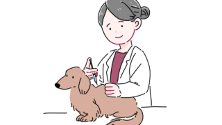 狂犬病予防接種について💉