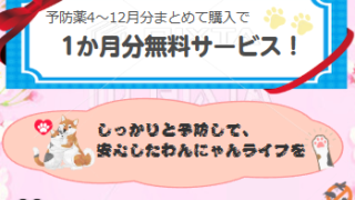 今年も予防の季節がやってきました🌸