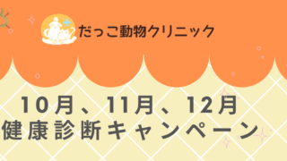 健康診断キャンペーン🐕🐈