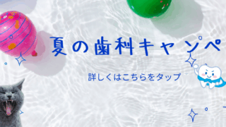 歯科キャンペーン🦷✨