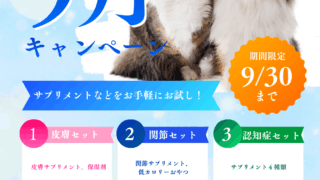 ９月キャンペーン🍂